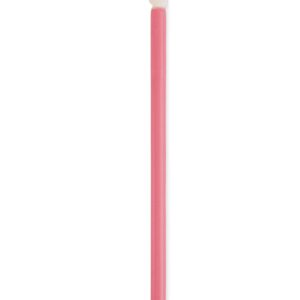 Disposable Lip Brushes